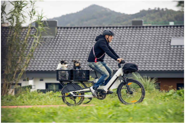Vélo électrique MONTY (BH) CARGO V4 ROVER 540Wh autonomie 100 kms – Image 2