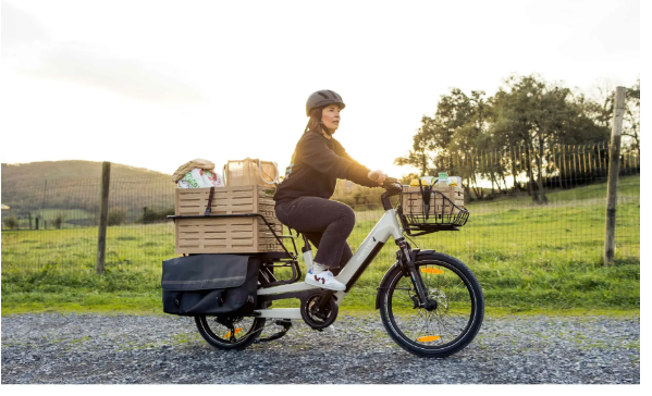Vélo électrique MONTY (BH) CARGO V4 ROVER 540Wh autonomie 100 kms – Image 3